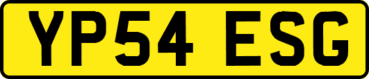 YP54ESG