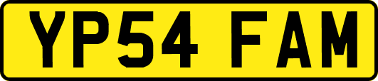 YP54FAM