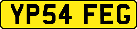 YP54FEG