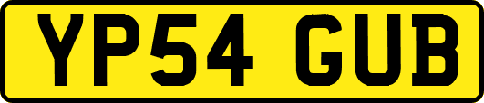 YP54GUB