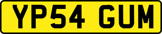 YP54GUM