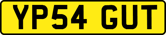 YP54GUT