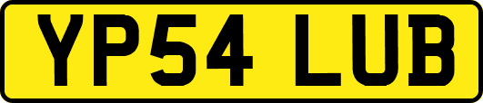 YP54LUB