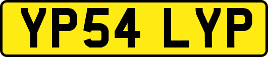 YP54LYP