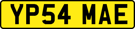 YP54MAE