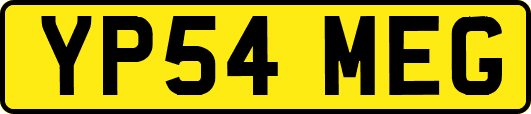 YP54MEG
