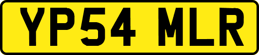 YP54MLR