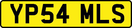 YP54MLS