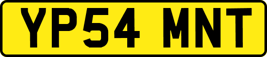 YP54MNT