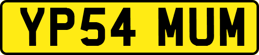 YP54MUM