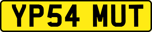 YP54MUT