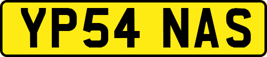 YP54NAS