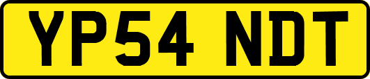 YP54NDT