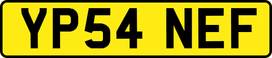 YP54NEF
