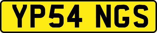 YP54NGS