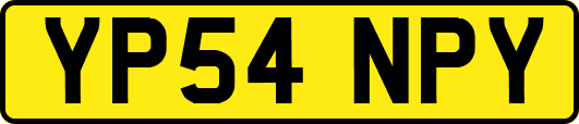 YP54NPY