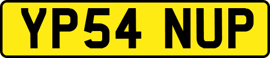 YP54NUP