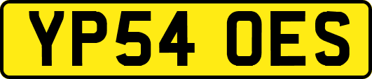 YP54OES