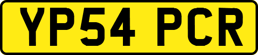 YP54PCR
