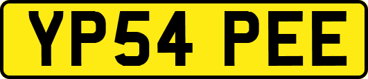 YP54PEE
