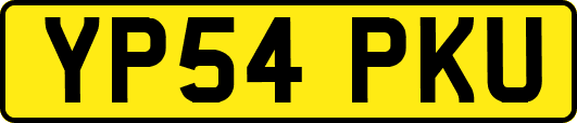 YP54PKU