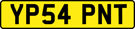 YP54PNT