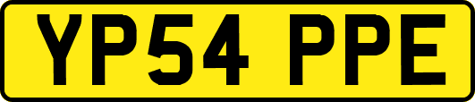 YP54PPE