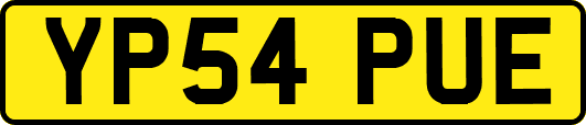 YP54PUE