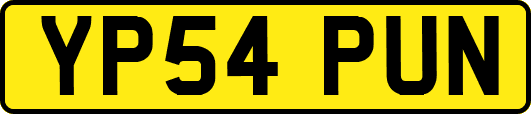 YP54PUN
