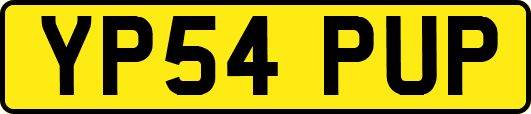 YP54PUP