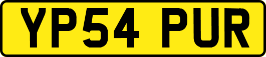 YP54PUR