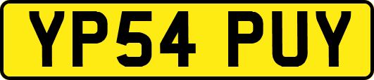 YP54PUY