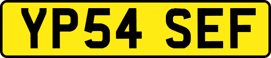 YP54SEF