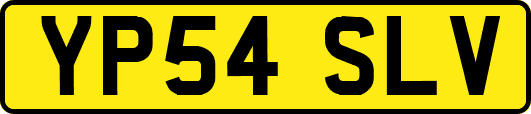 YP54SLV