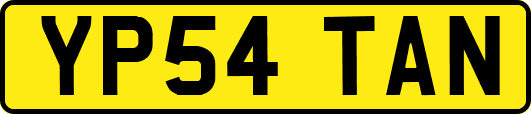 YP54TAN
