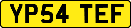 YP54TEF