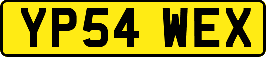 YP54WEX