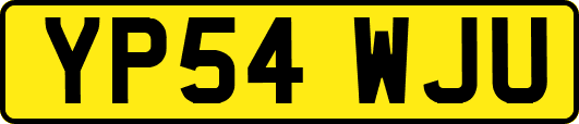 YP54WJU