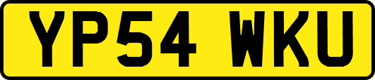 YP54WKU