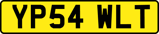 YP54WLT