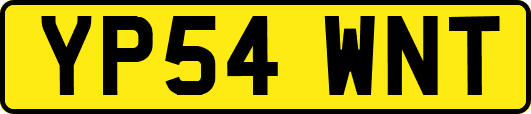 YP54WNT