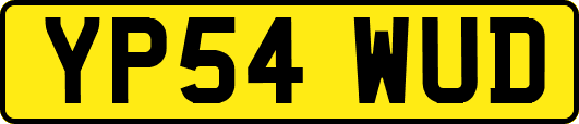 YP54WUD