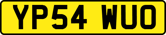 YP54WUO