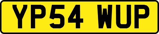 YP54WUP
