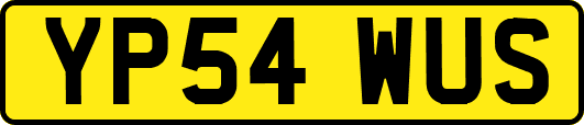 YP54WUS