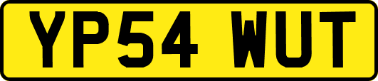YP54WUT