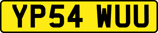 YP54WUU