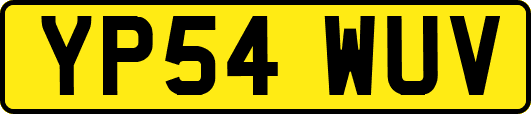 YP54WUV