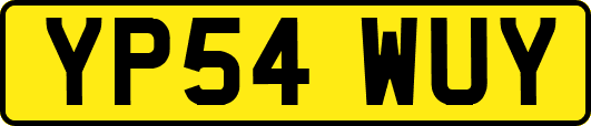 YP54WUY
