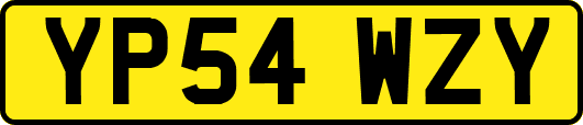 YP54WZY